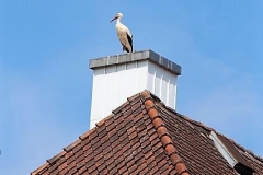 storch-trödelmarkt-langenzenn-tsv-langenzenn-tennis